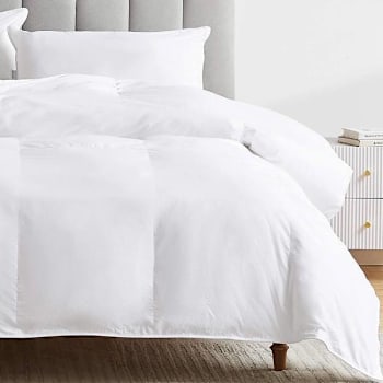 Image for Premium Cotton Enviroloft Filled Blanket For Sonesta, King, 4/Cs from HD Supply