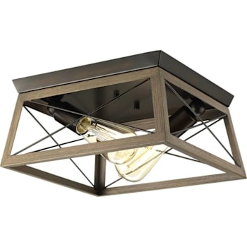 Image for Progress Lighting Briarwood 2-Light Indoor Flush Mount, 12", Antique Bronze from HD Supply