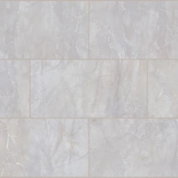 Lifeproof Feldspar Onyx Clf Wp Lvt Flooring 19.1 Sq. Ft.,case Of 4