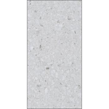 Image for Lifeproof Annelise Terrazzo Clf Wp Lvt Flooring 17.7 Sq. Ft.,case Of 9 from HD Supply