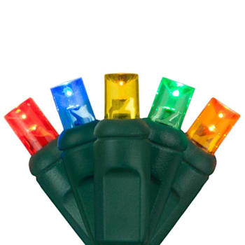 Wintergreen Lighting Softtwinkle 70 LED Christmas Lights, Green Wire, Multicolor