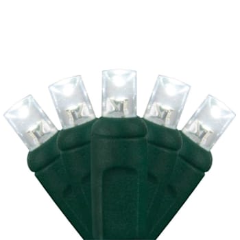 Wintergreen Lighting Softtwinkle 70 LED Christmas Lights, Green Wire, Cool White