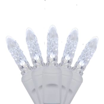 Wintergreen Lighting 70 M5 LED Icicle Lights On White Wire, Cool White, 7'