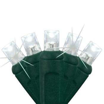 Wintergreen Lighting Softtwinkle 50 LED Christmas Lights, Green Wire, Cool White