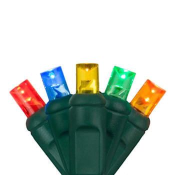 Wintergreen Lighting 4' X 6' LED Net Lights On Green Wire, 100 Multicolor