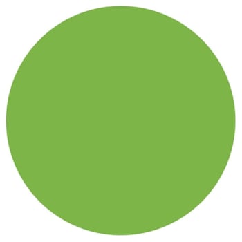 Rrd Vinyl Circle 3/4" Dia
