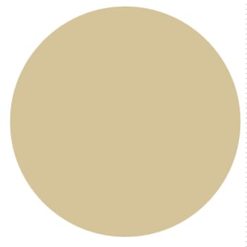 Rrd Tan Removable Paper Circle