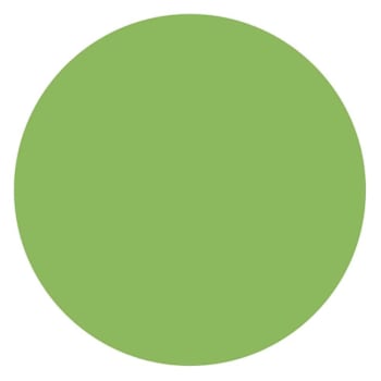 Rrd Vinyl Circles 1/2"Grn