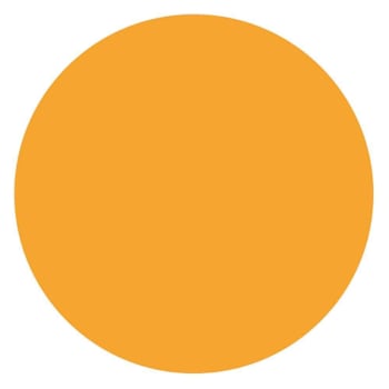 Image for Rrd Perm. Paper Circles 3/4" Fl Orng from HD Supply
