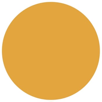 Rrd Paper Circles 1"Fl Orng