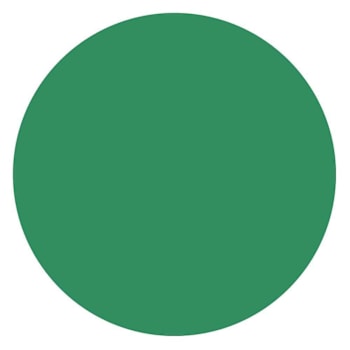 Rrd Paper Circles 1/2"Green