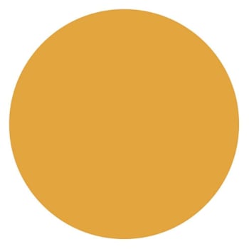 Rrd Paper Circles 1/2"Fl Orng
