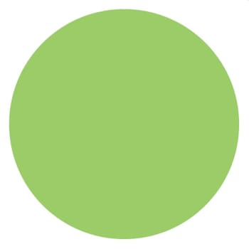 Image for Rrd Perm. Paper Circles 1" Fl Grn from HD Supply