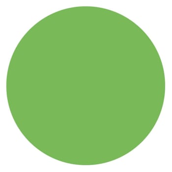 Image for Rrd Perm. Paper Circles 3/4" Lt Gn from HD Supply