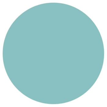 Rrd Blank Turquoise Removable Paper Circl