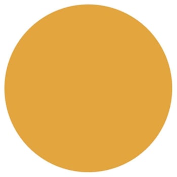 Rrd Paper Circles 3/4" Orng