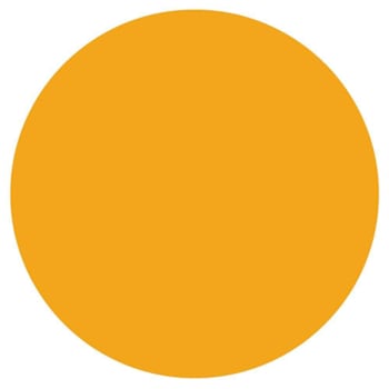 Rrd Blank Orange Permanent Vinyl Circle C