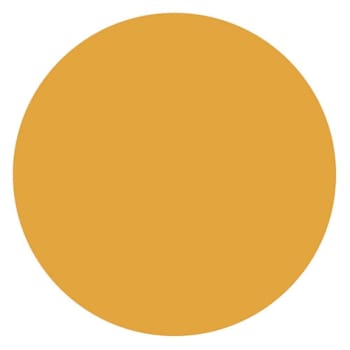Rrd Vinyl Circle 1/2" Dia Orange
