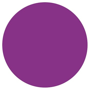 Rrd Paper Circles 3/4"Purple