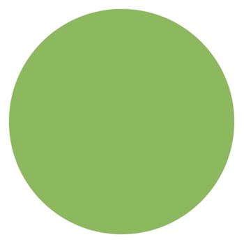 Rrd Paper Circles 1/2"Lt Grn