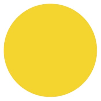 Rrd Paper Circles 1/2" Ylw