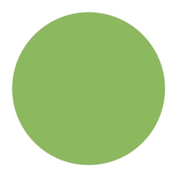 Rrd Vinyl Circles 1/4"Grn