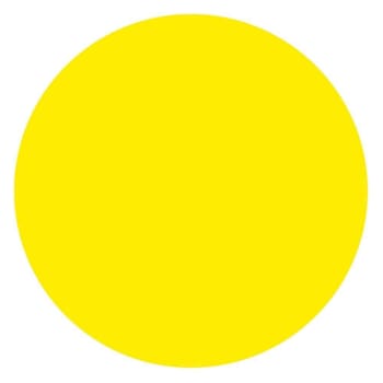 Rrd Perm. Paper Circles 3/4" Fl Yl