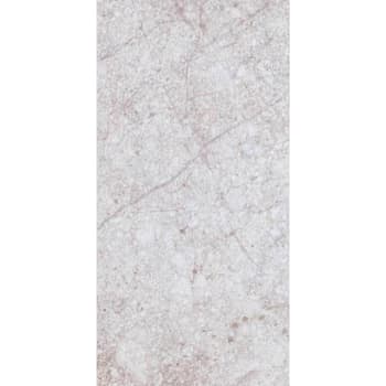 TrafficMASTER 12x24 Pns Tile Beige Veined Stone Case Of 15