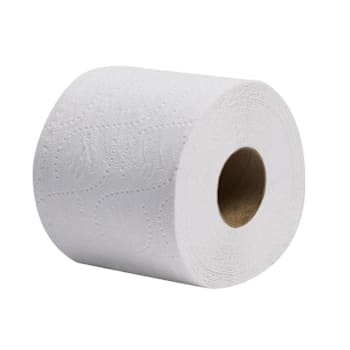 Renown Eco 2-Ply Single Roll Toilet Paper 550-Sheets Per Roll Case Of 80