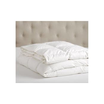Image for Mill Distributors, Inc. Hometowne Specified Product Twin White Blanket Case Of 5 from HD Supply