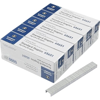 Business Source Standard Staples Chisel Point Silver Package Of 5