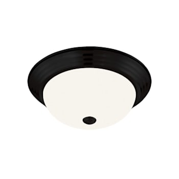 Seasons 11 In. 2-Light Bulb-Based Dome Flush Mount Fixture In Matte Black