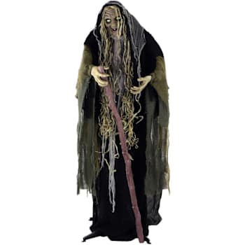 Image for Haunted Hill Farm 5'8" Poseable Swamp Witch With Lights And Sound from HD Supply