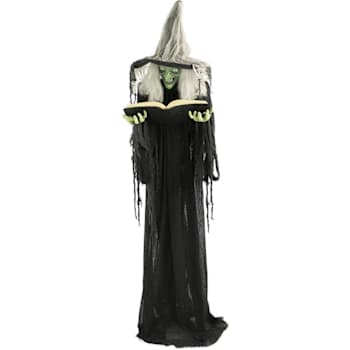 Image for Haunted Hill Farm 6' Poseable Witch With Spell Book, Lights And Sound from HD Supply
