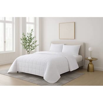 Image for 1888 Mills Full Xl Quilted Blanket Rounded Corner Microfiber/Poly Fill Case Of 4 from HD Supply