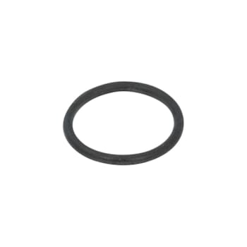 Chicago Faucets O-Ring For Xt Cartridge
