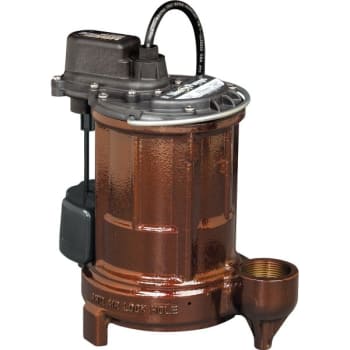 Image for Liberty Pumps® Sump Pump 1/3 Hp Cast Iron from HD Supply