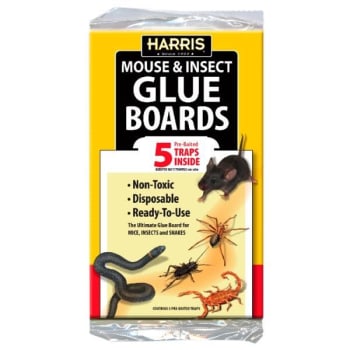 Harris Mouse/Insect Glue (5-Pack)