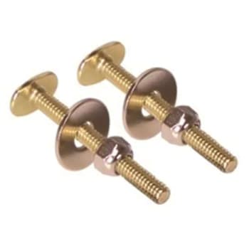 ProPlus 5/16 In. X 2-1/4 In. Oval Toilet Bolt, Brass Plated Package Of 2