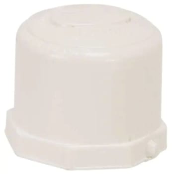 ProPlus PVC Schedule 40 Slip Cap, 1 In.