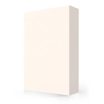 Professional Plastics Avonite Ivory #8106 Acrylic Sheet 12mm