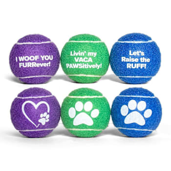 Amenity Services Dog Tennis Ball Case Of 25