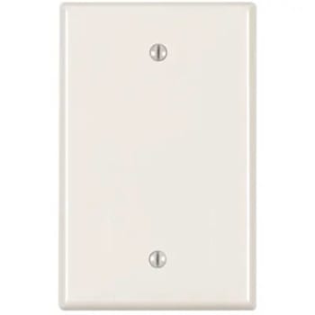 Image for Leviton Blank Nylon Wall Plate White 1 Ea from HD Supply