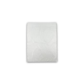 Elkay 10x12" 2 Mil Single Track Zipper Bag, Case Of 1000