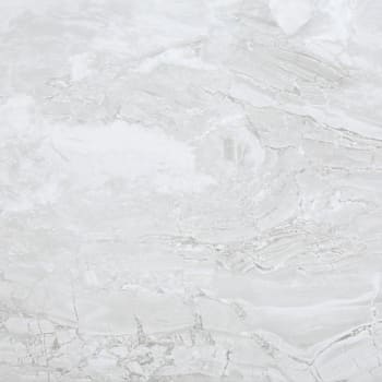 Palisade Iced Pewter Case Of 8