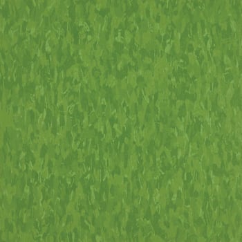 Image for Armstrong Flooring Imperial Texture Tile, lime Zest, 12" X 12", Case Of 45 from HD Supply