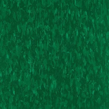 Image for Armstrong Flooring Imperial Texture Tile, alligator, 12" X 12", Case Of 45 from HD Supply