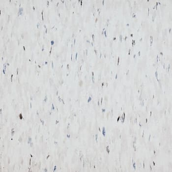 Armstrong Flooring Safety Zone Tile, Cirque White, 12" X 12", Case Of 45