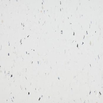 Armstrong Flooring Safety Zone Tile, Polar White, 12" X 12", Case Of 45