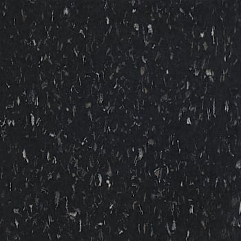 Image for Armstrong Flooring Safety Zone Tile, Classic Black, 12" X 12", Case Of 45 from HD Supply